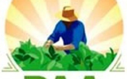 Governo Federal celebra 10 anos do Programa de Aquisição de Alimentos