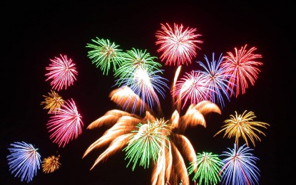 Projeto de lei proíbe uso de fogos de artifício em eventos com animais