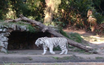 Costa Rica torna-se o primeiro país da América Latina a encerrar os seus jardins zoológicos