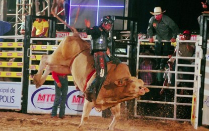 Montaria de animais foi proibida no Rodeio de Rio Claro pela primeira vez