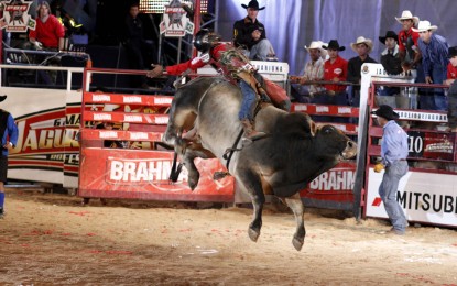 Rodeios estão em baixa no conceito do público