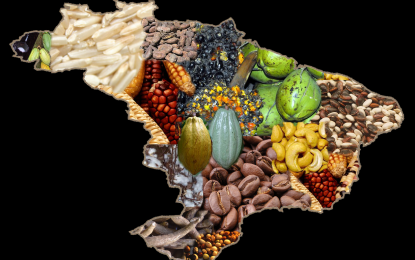 Valor da produção agropecuária do Brasil, de 2015, é de R$ 473,2 bilhões