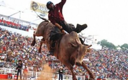 Justiça proíbe realização de rodeios em São Carlos