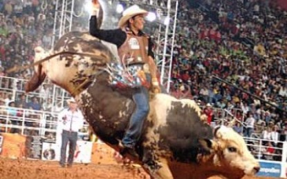 Justiça de SP mantém proibição a rodeio em Barretos