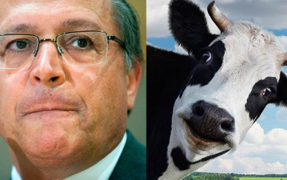 As tramóias entre o governo Alckimin e os frigoríficos