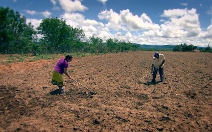 Reforma da aposentadoria vai jogar milhões de rurais na extrema pobreza