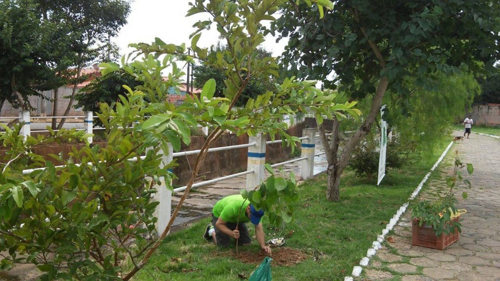 Reconhecendo o empenho da atual administração integrantes da Associação Verde de Angatuba), voluntariamente, colaboraram para melhorar o aspecto da pista de caminhada paralela ao Córrego Catanduva, recolhendo lixo, plantando árvores, etc. 