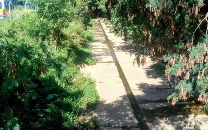 Córrego Catanduva pede socorro, afirmam munícipes