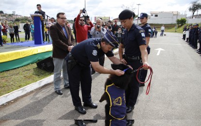 Cão policial ganha aposentadoria após oito anos de trabalho em Itapeva
